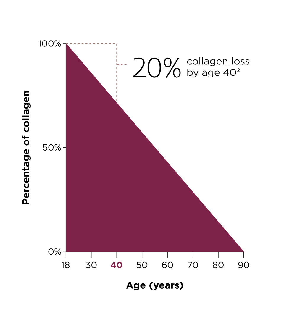 Graph showing 20% collagen loss by age 40